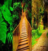 MERIYANDA NATURE LODGE, COORG 9/15