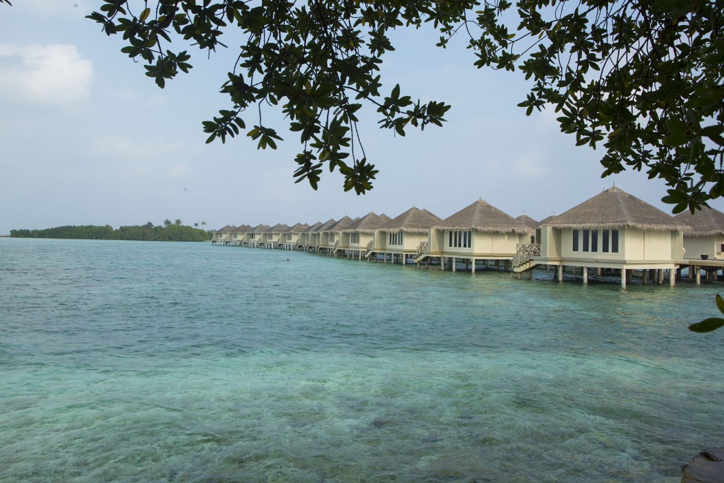 Cinnamon Dhonveli Maldives 16/89