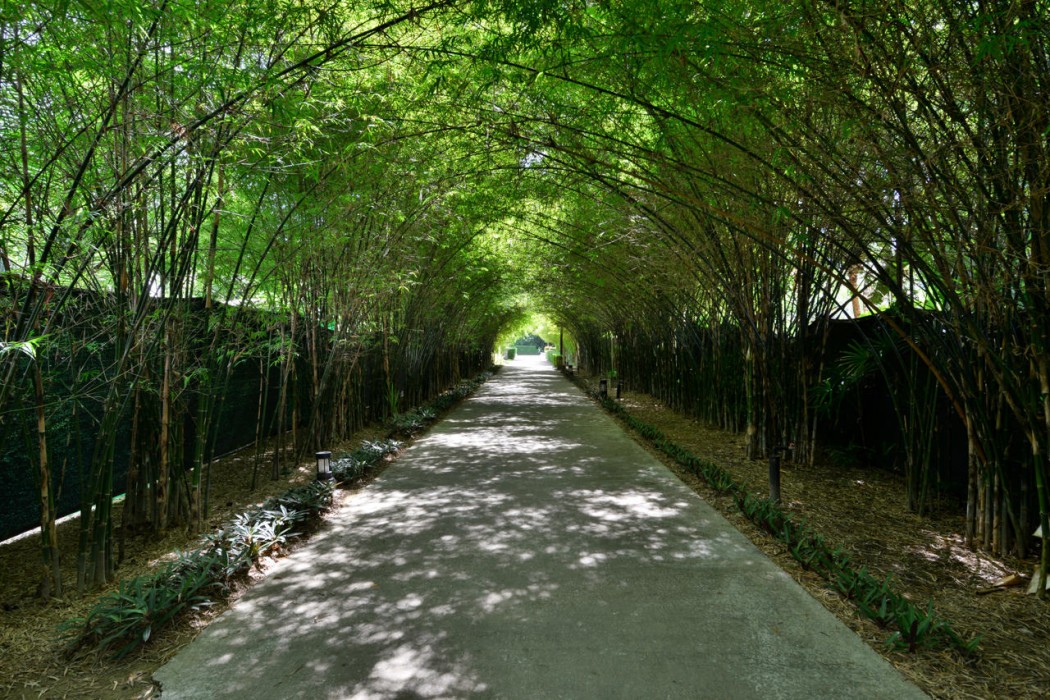 Twin Lotus Resort and Spa - Adults Only 8/181