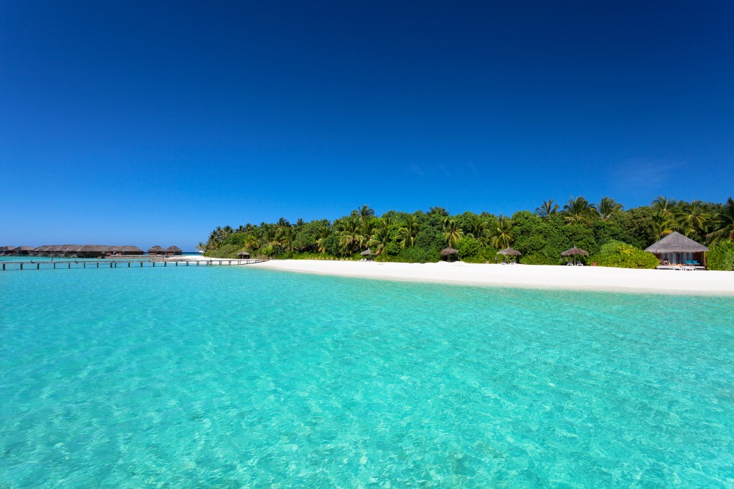 Veligandu Island Resort & Spa 95/172