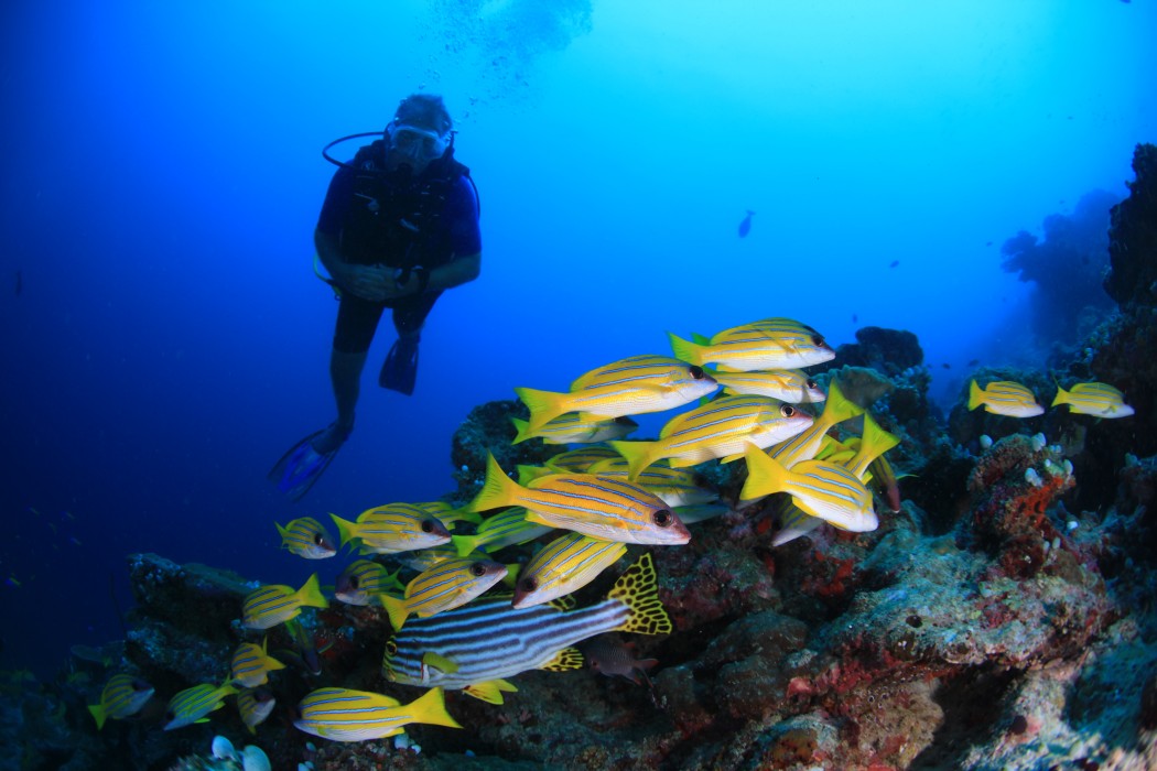 Veligandu Island Resort & Spa 105/172