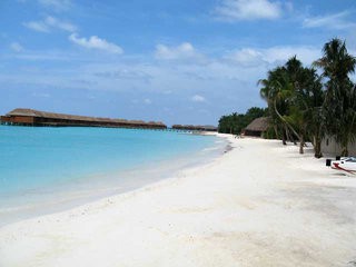 Veligandu Island Resort & Spa in Veligandu Island