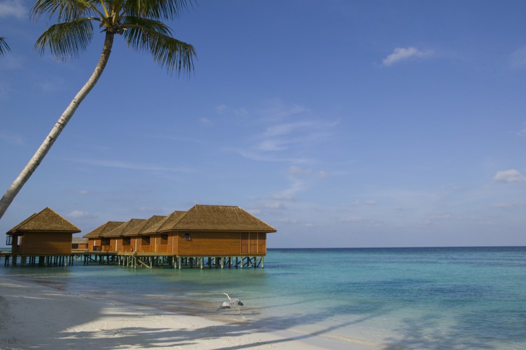 Veligandu Island Resort & Spa 107/172