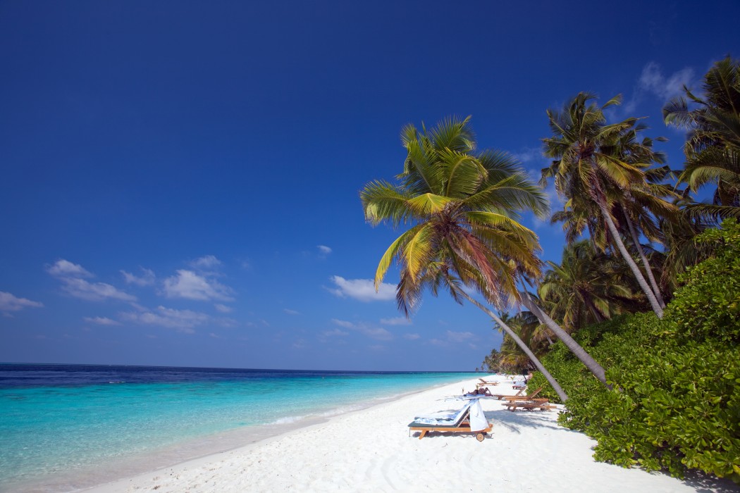 Filitheyo Island Resort 84/151