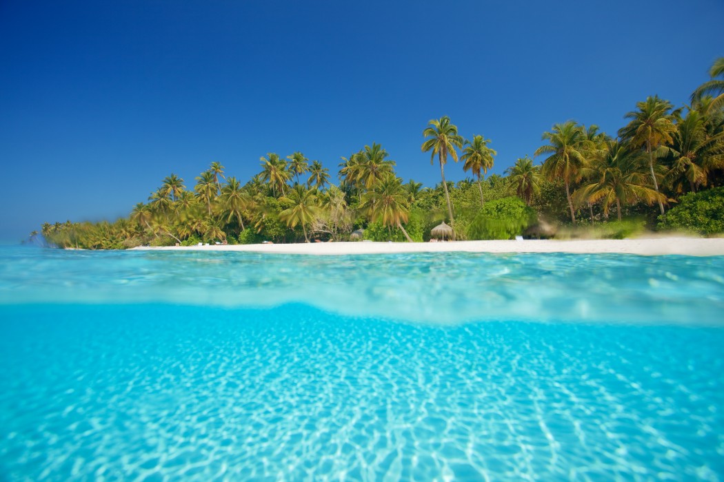 Filitheyo Island Resort 89/151