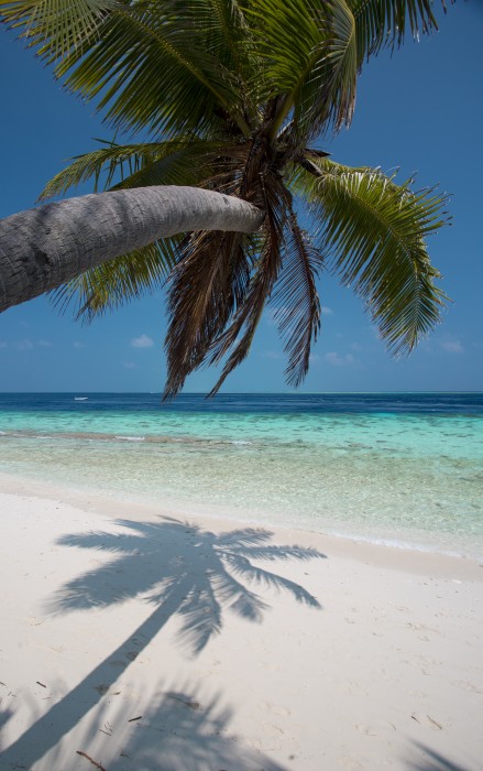 Filitheyo Island Resort 94/151