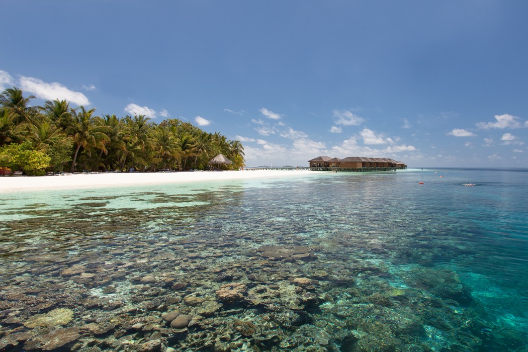 Vilamendhoo Island Resort & Spa 135/272