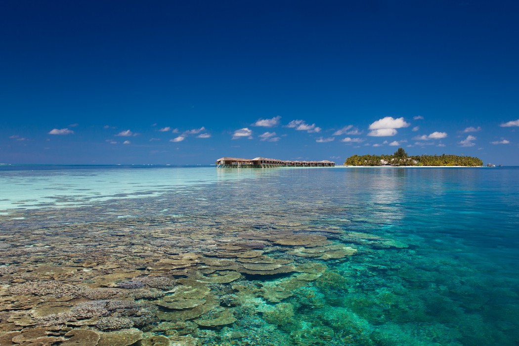 Vilamendhoo Island Resort & Spa 121/272