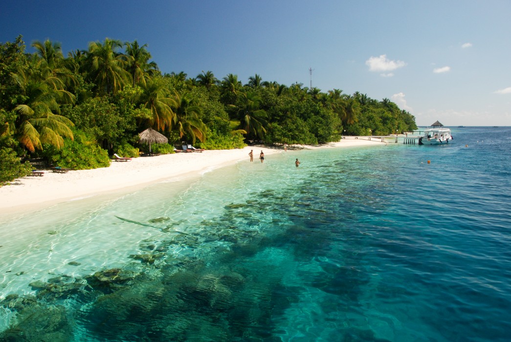 Vilamendhoo Island Resort & Spa 124/272
