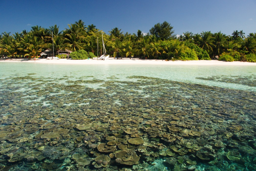 Vilamendhoo Island Resort & Spa 131/272