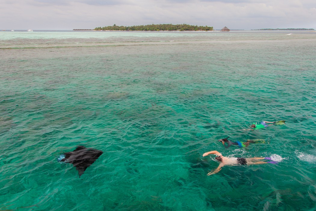 Vilamendhoo Island Resort & Spa 173/272