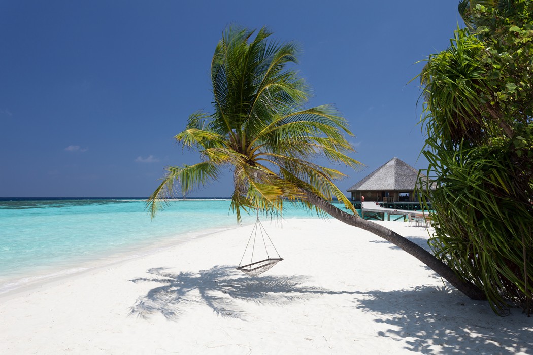Vilamendhoo Island Resort & Spa 37/272