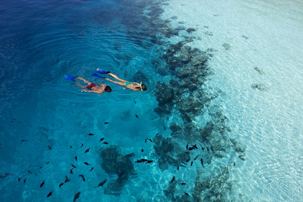 Vilamendhoo Island Resort & Spa 119/272