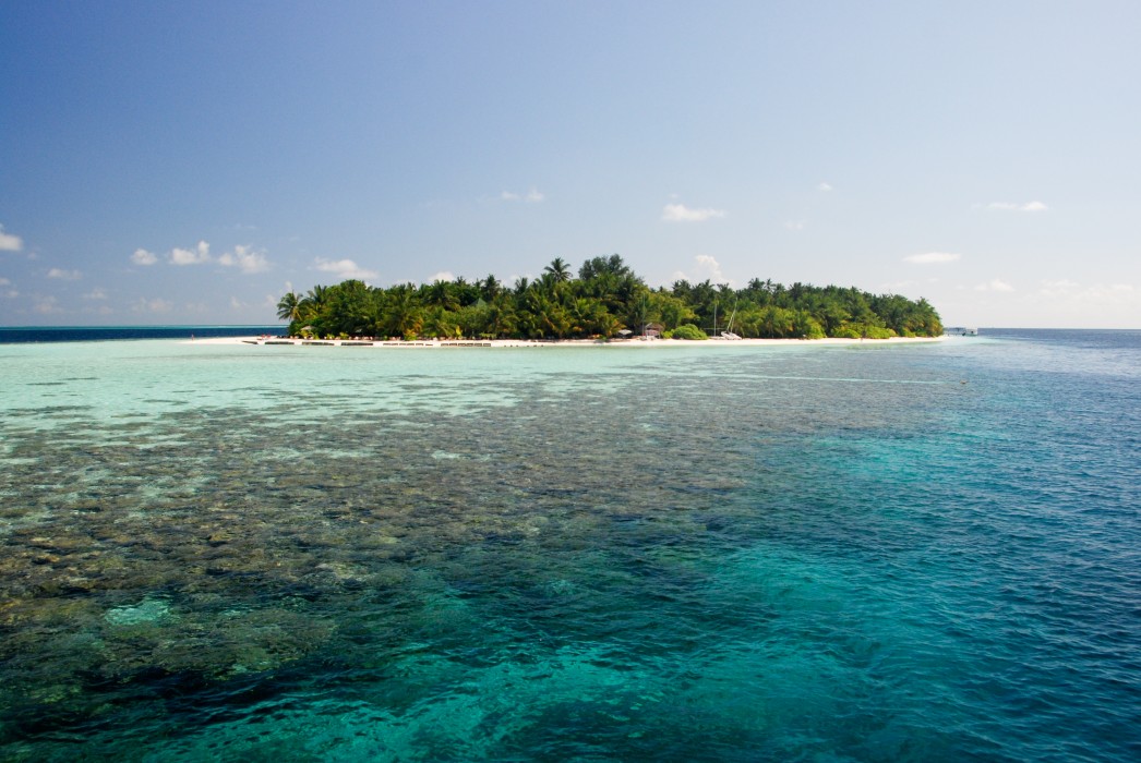 Vilamendhoo Island Resort & Spa 130/272