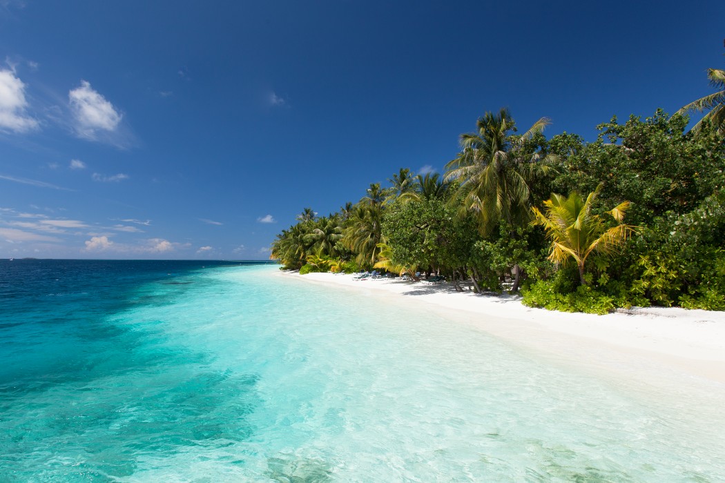 Vilamendhoo Island Resort & Spa 125/272