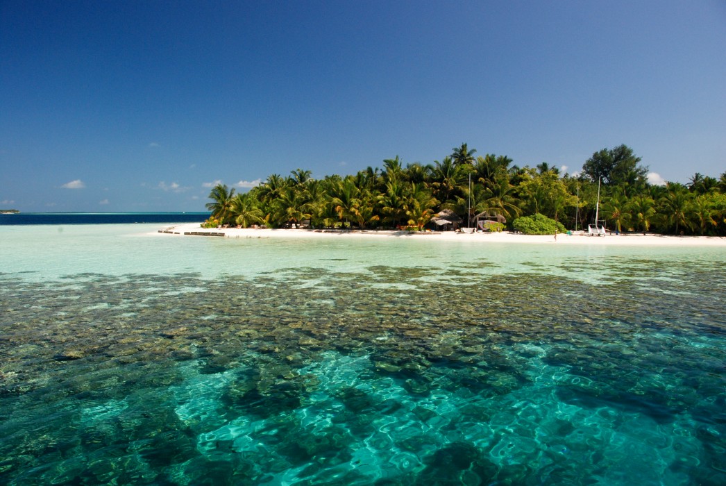 Vilamendhoo Island Resort & Spa 123/272