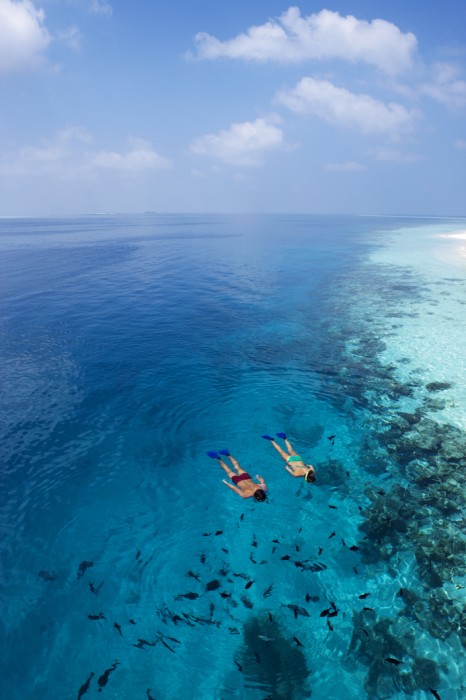 Vilamendhoo Island Resort & Spa 86/272
