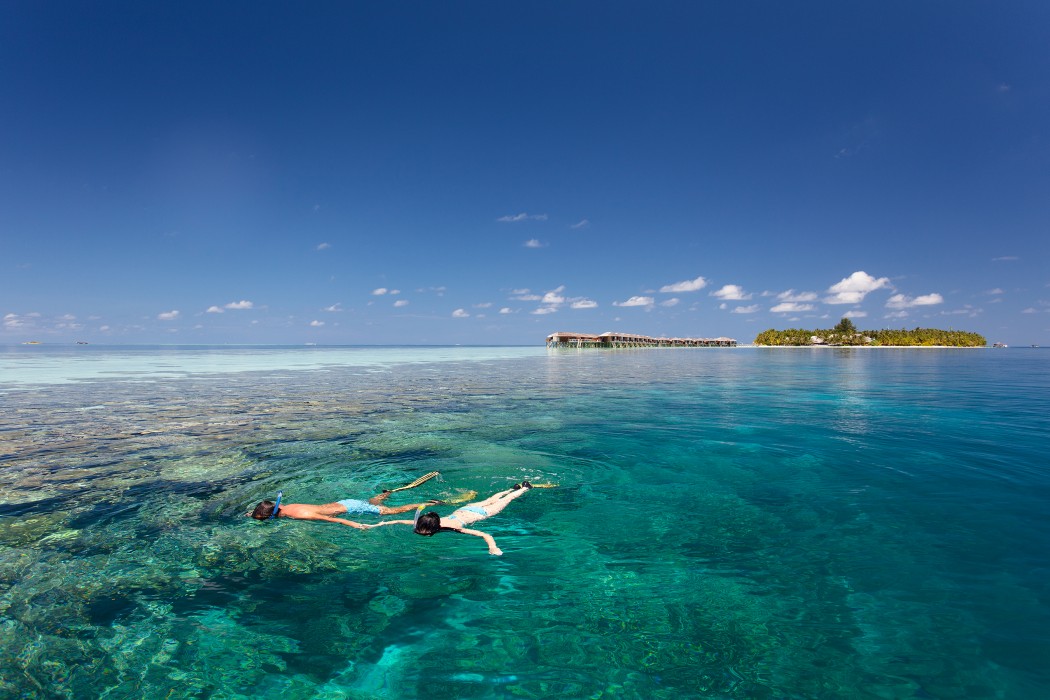 Vilamendhoo Island Resort & Spa 90/272