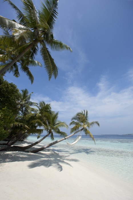 Vilamendhoo Island Resort & Spa 120/272