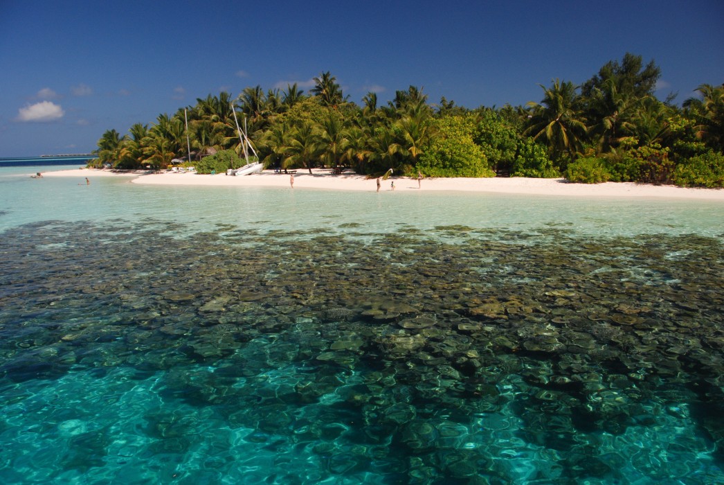 Vilamendhoo Island Resort & Spa 128/272