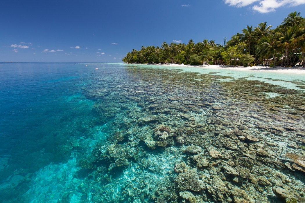 Vilamendhoo Island Resort & Spa 138/272