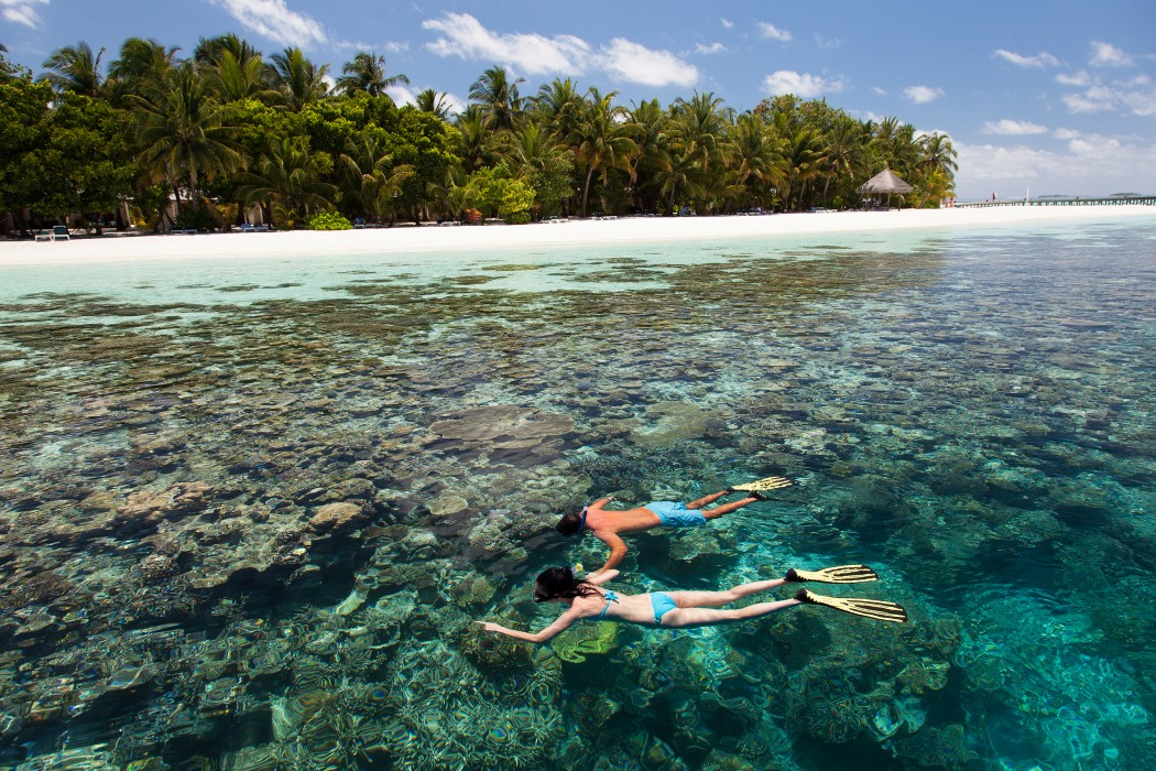 Vilamendhoo Island Resort & Spa 92/272