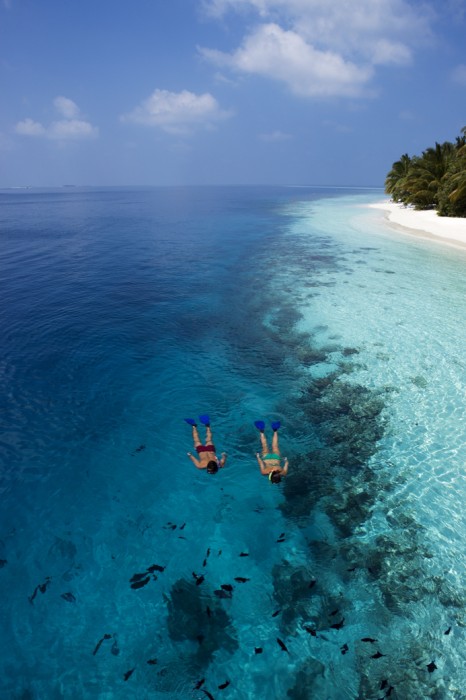 Vilamendhoo Island Resort & Spa 115/272