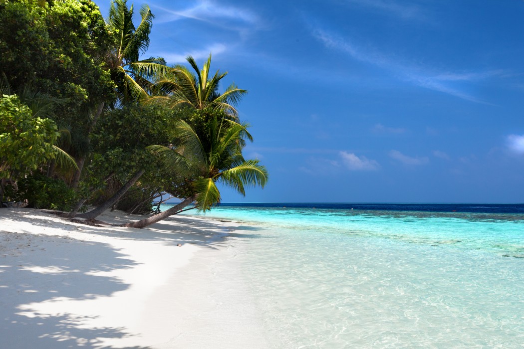 Vilamendhoo Island Resort & Spa 122/272