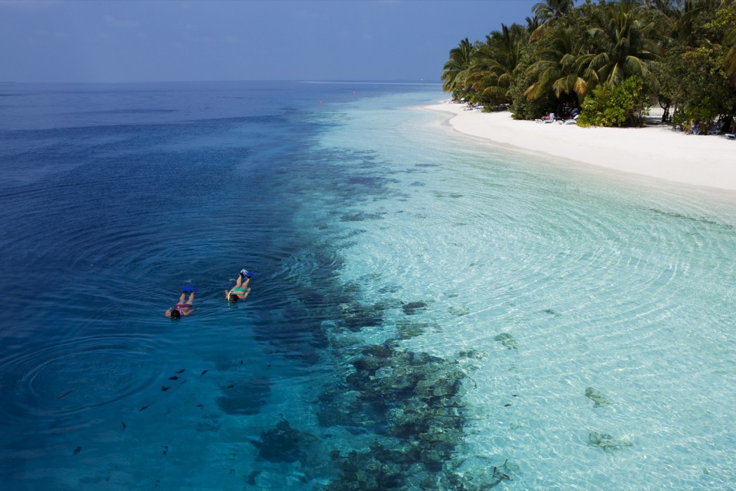 Vilamendhoo Island Resort & Spa 126/272