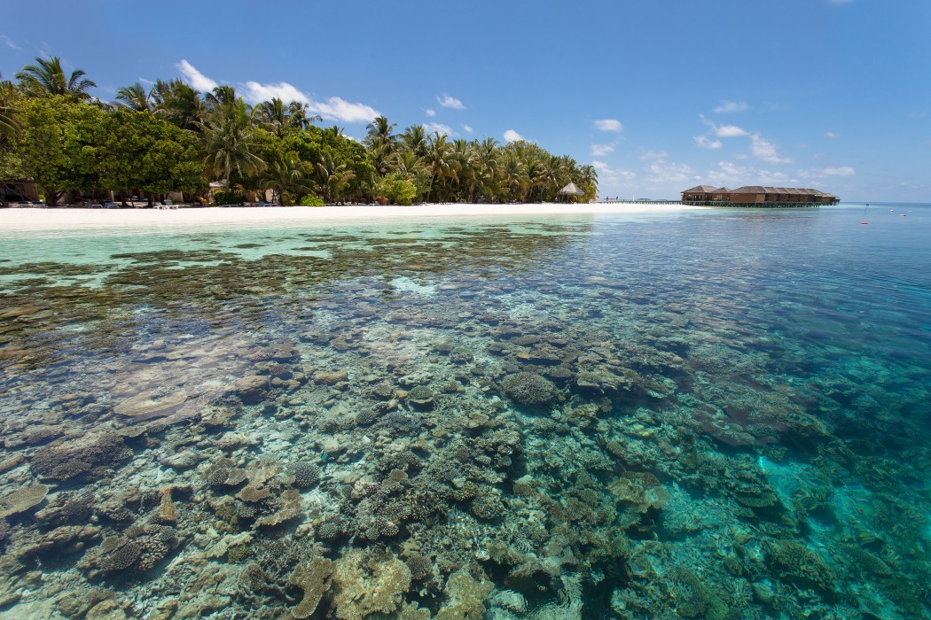 Vilamendhoo Island Resort & Spa 139/272