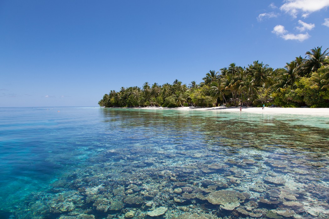 Vilamendhoo Island Resort & Spa 136/272