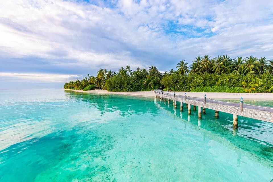 Ayada Maldives 8/65