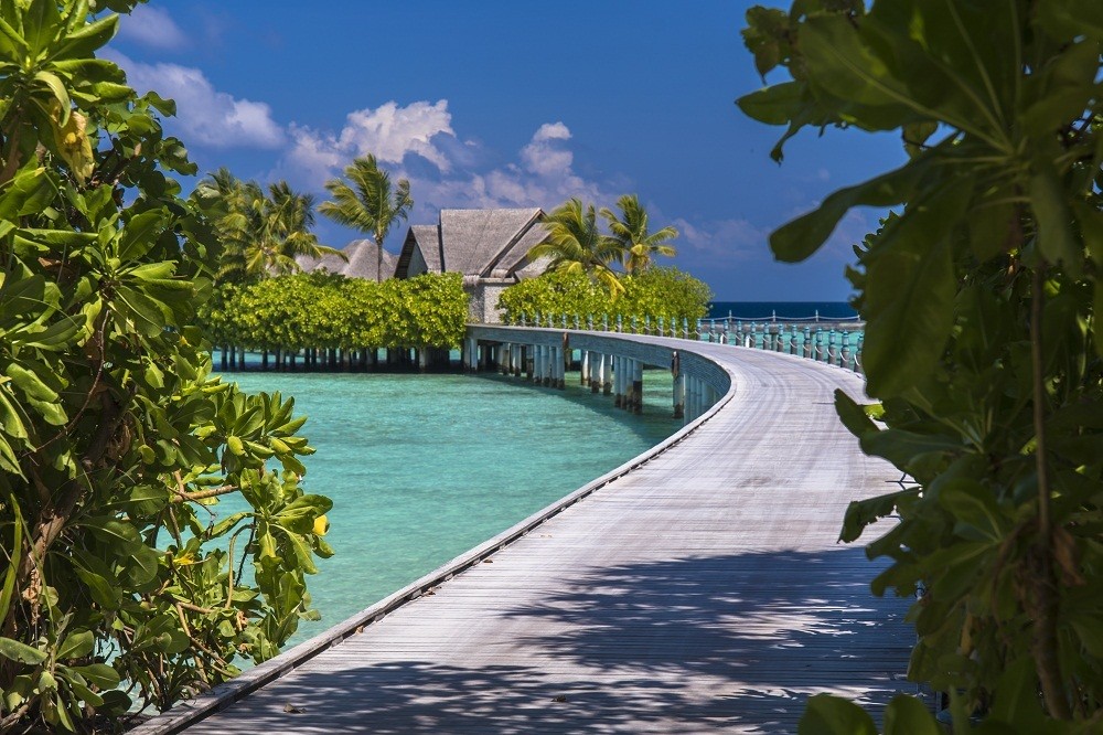 Ayada Maldives 5/65