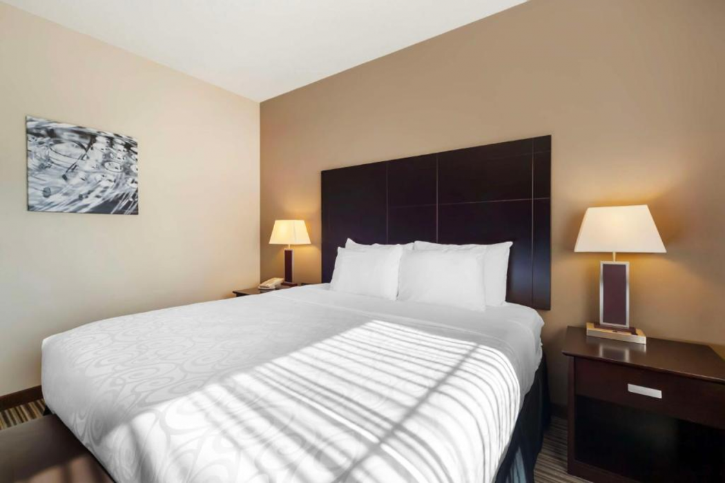 Best Western Plus Peace River Hotel and Suites 10/46