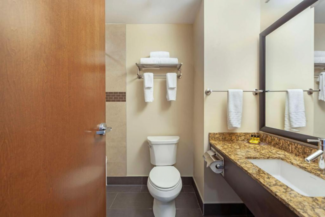 Best Western Plus Peace River Hotel and Suites 17/46