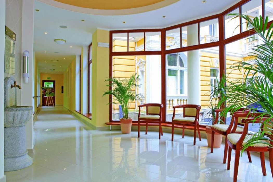 Svoboda Ensana Health Spa Hotel 27/60