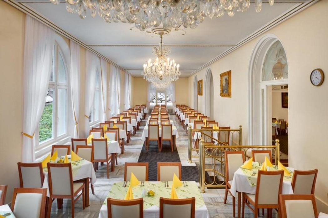 Svoboda Ensana Health Spa Hotel 26/60