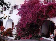 New Haroula Hotel 15/28