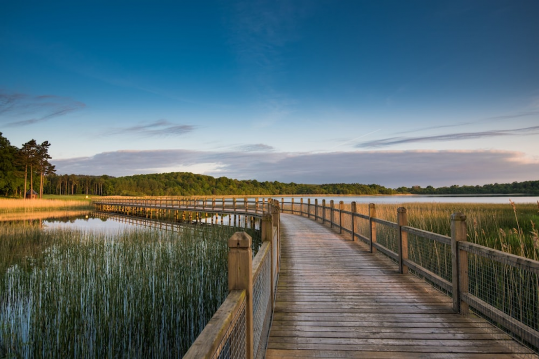 Lough Erne Resort 64/100