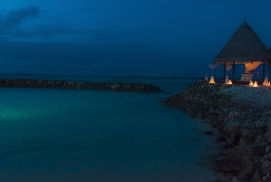 Taj Coral Reef Resort and Spa 36/85