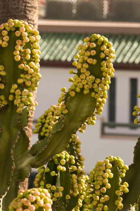 Les Jardins de la Medina 128/148