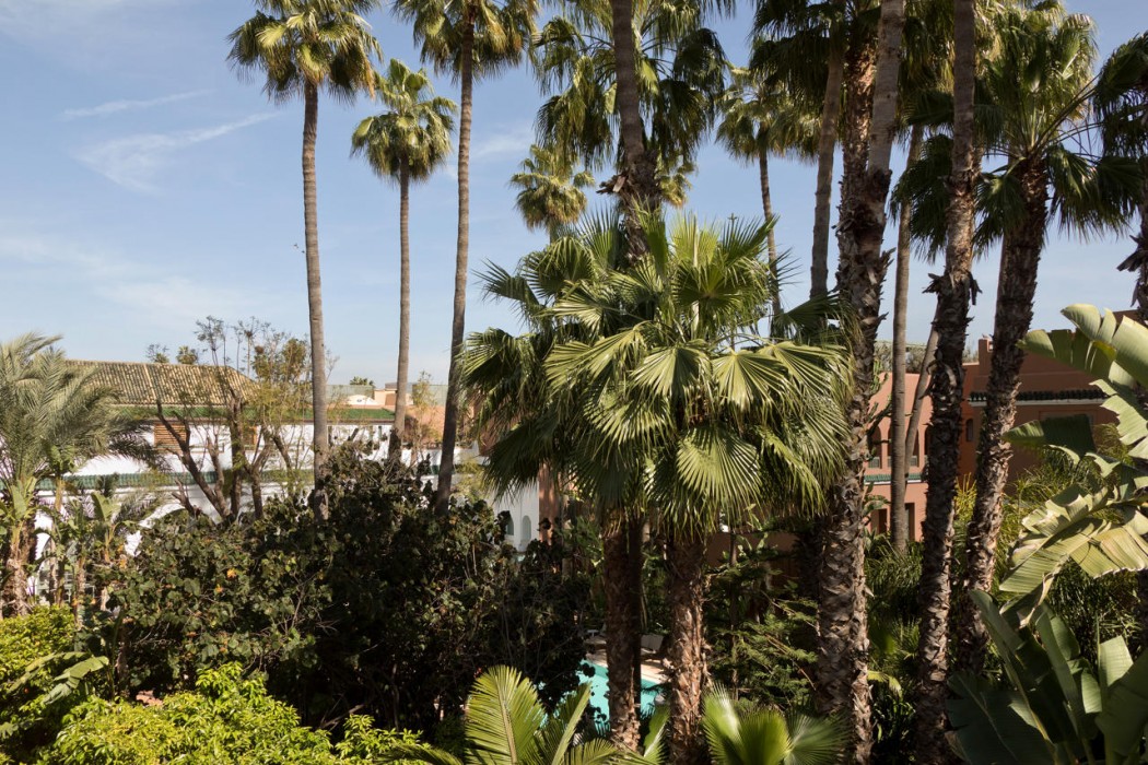 Les Jardins de la Medina 102/148
