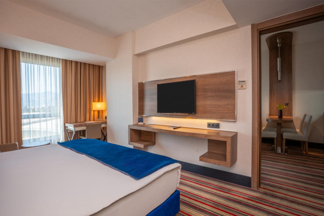 Ramada Plaza by Wyndham Izmir 16/65