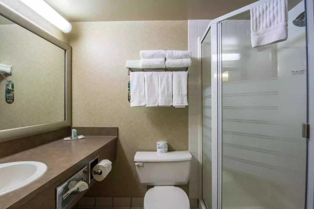 Comfort Inn & Suites Calgary Airport - South 11/36