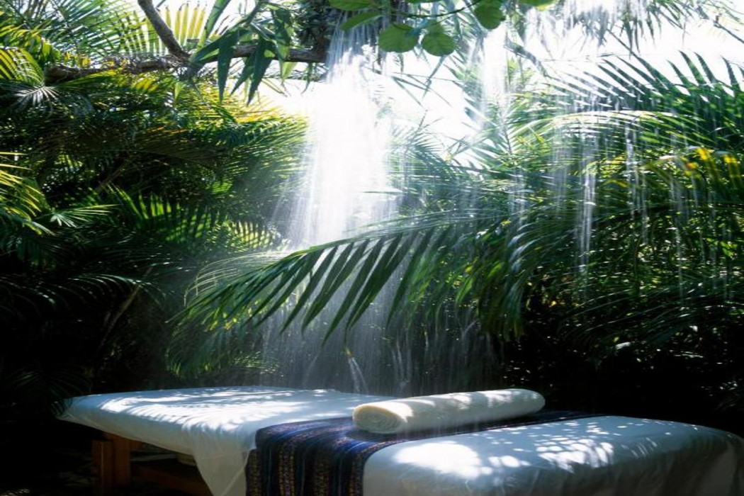 Viceroy Riviera Maya, a Luxury Villa Resort - Adults Only 27/80