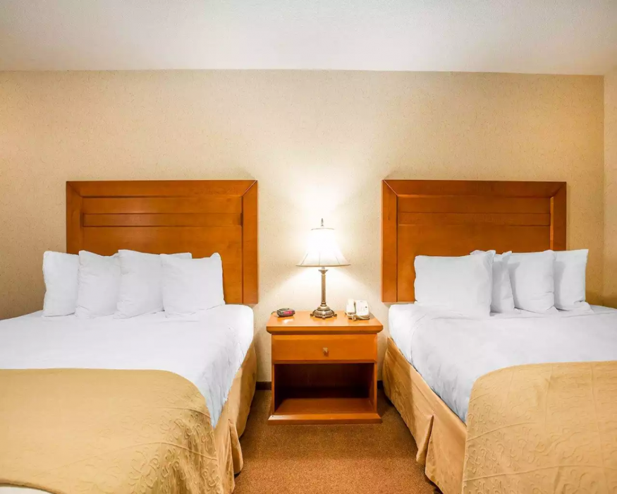 Quality Inn and Suites Lethbridge East 17/52