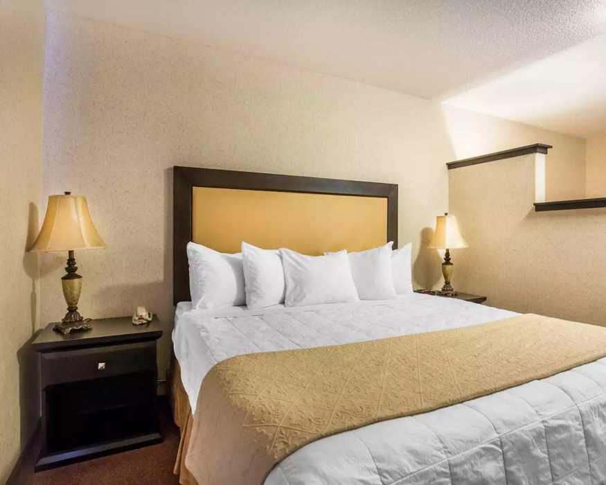 Quality Inn and Suites Lethbridge East 22/52