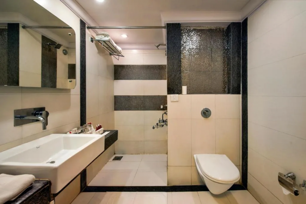 Lords Inn Vadodara 11/50