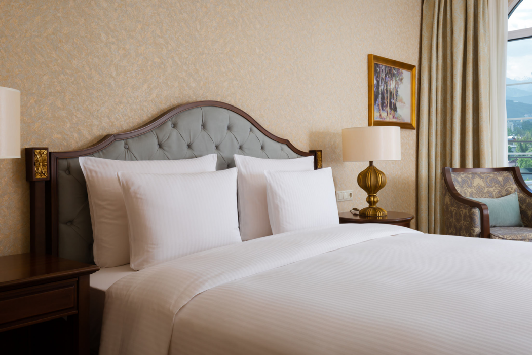 Rixos Almaty Hotel 17/74