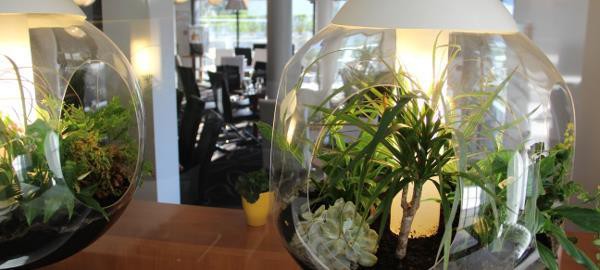 Hotel Kyriad Saint Quentin En Yvelines - Montigny 25/58